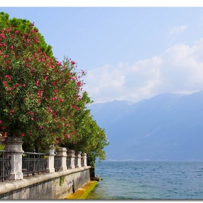 Mural: Lake Garda Promenade 3 - landscape format 4:3 - many sizes & materials - exclusive photo art motif as a canvas picture or acrylic glass picture for wall decoration