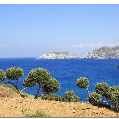Mural: olivar de Creta sobre Agia Pelagia - formato apaisado 4:3 - muchos tamaños y materiales - motivo exclusivo de arte fotográfico como lienzo o imagen de vidrio acrílico para decoración de paredes