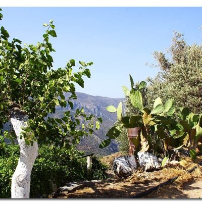 Cuadro de pared: Creta pueblo de montaña romance - formato apaisado 4:3 - muchos tamaños y materiales - motivo de arte fotográfico exclusivo como cuadro de lienzo o cuadro de vidrio acrílico para decoración de paredes