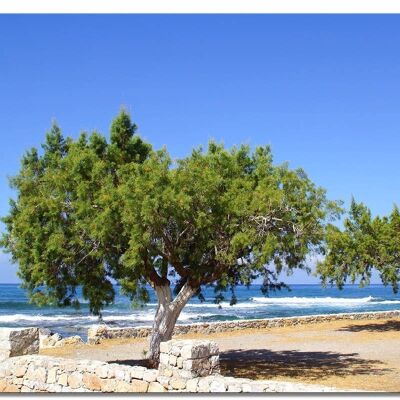 Mural: Crete promenade by the sea - landscape format 4:3 - many sizes & materials - exclusive photo art motif as a canvas picture or acrylic glass picture for wall decoration