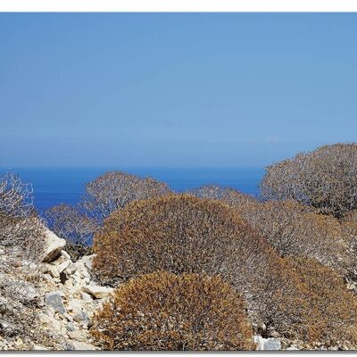 Wandbild: Wilde Macchia auf Naxos - viele Größen - Querformat 4:3 - viele Größen & Materialien – Exklusives Fotokunst-Motiv als Leinwandbild oder Acrylglasbild zur Wand-Dekoration