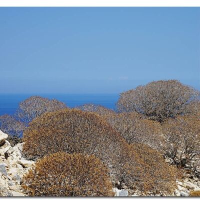 Wandbild: Wilde Macchia auf Naxos - viele Größen - Querformat 4:3 - viele Größen & Materialien – Exklusives Fotokunst-Motiv als Leinwandbild oder Acrylglasbild zur Wand-Dekoration