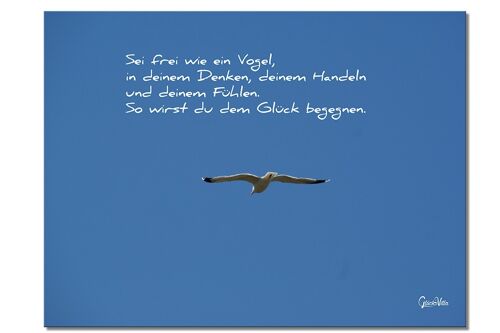 Wandbild: Sei frei wie ein Vogel - Querformat 4:3 - viele Größen & Materialien – Exklusives Fotokunst-Motiv als Leinwandbild oder Acrylglasbild zur Wand-Dekoration