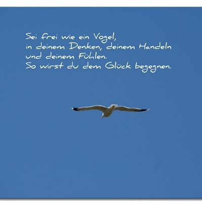 Wandbild: Sei frei wie ein Vogel - Querformat 4:3 - viele Größen & Materialien – Exklusives Fotokunst-Motiv als Leinwandbild oder Acrylglasbild zur Wand-Dekoration