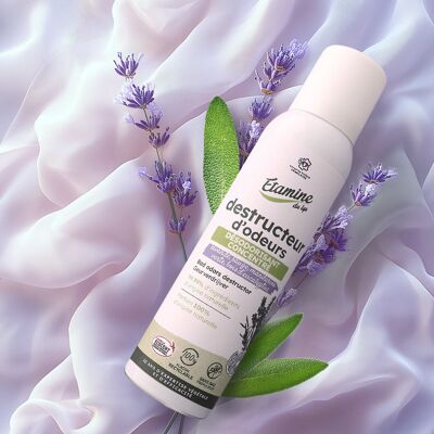 DISTRUGGE GLI ODORI ALLA LAVANDA 125ML