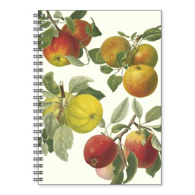 Notizbuch A5 Äpfel