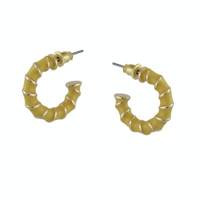 OLYMPIA ROPE ENAMELLED HOOP EARRINGS 2799