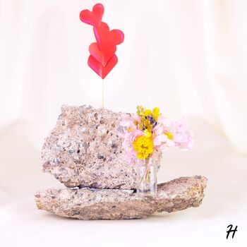 Cadeau Saint Valentin Mini Bouquet Fleurs Séchées dans une Boîte Cadeau - Vase Miniature avec Fleurs Séchées 10