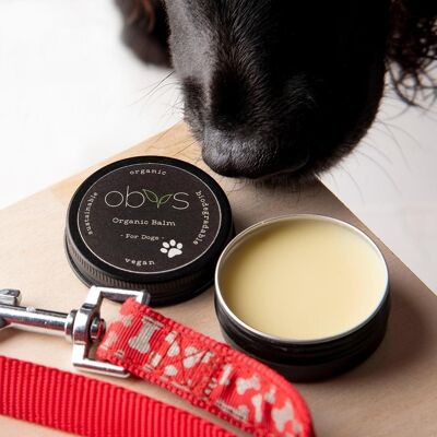 The Organic Balm For Dogs