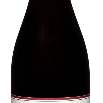 Les Perdrisières Pinot Noir - Rotwein 75cl (VDF Burgund)