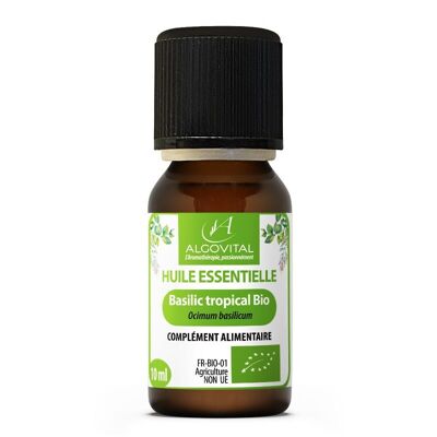 Ottimo olio essenziale di basilico verde con linalolo