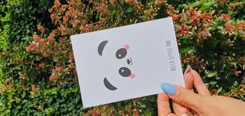 Carte postale panda bonjour petit bébé carte 3