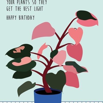 Carte postale Plant Young and fun est une carte d'anniversaire amusante avec une princesse rose. Du plaisir pour toutes les folles de plantes.