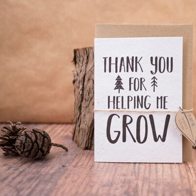 Plastic free, eco-friendly seed bomb and plantable card - Thank you Teacher gift set