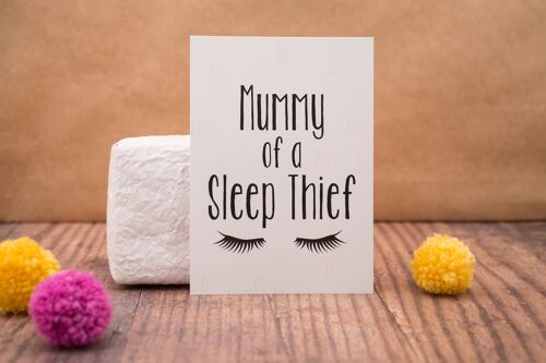Mummy of a Sleep Thief Postcard