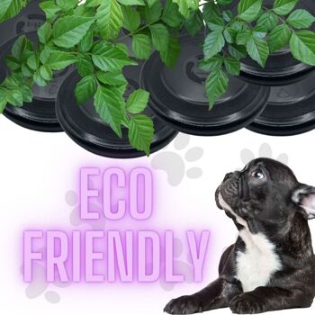 Frisbee pour chiens écologique 5