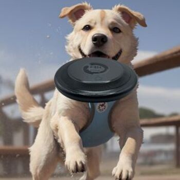Frisbee pour chiens écologique 7