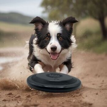 Frisbee pour chiens écologique 9