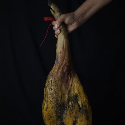 Acorn-fed 50-75% Iberian ham sliced