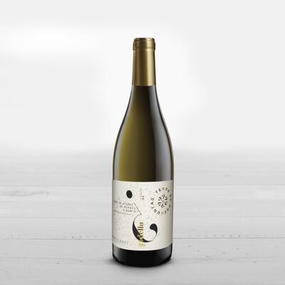 White Wine D.O. Monterrei Godello 22 Where are you if you lose your way?