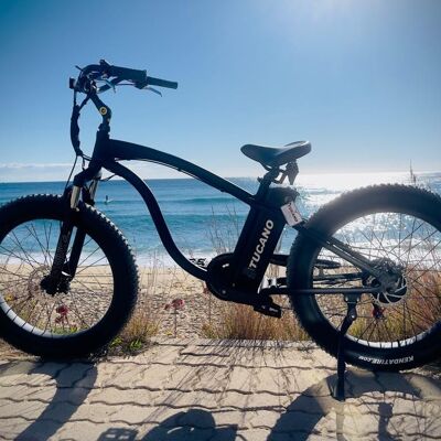 e-BIKE  Monster 26 NAKED -Fat bike - especial terrenos duros