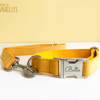 Laisse pour Chien Coton Jaune