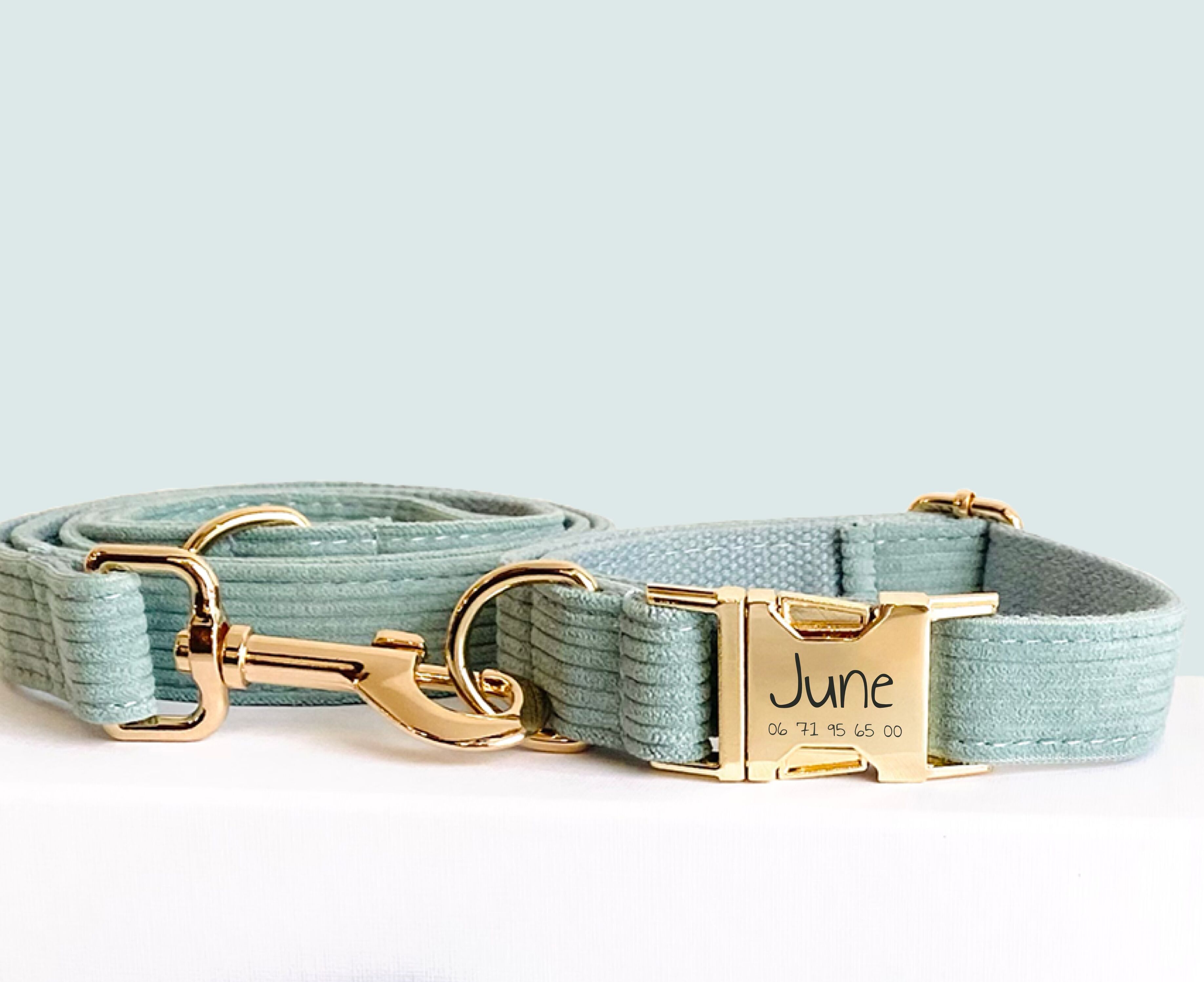 Sky Blue Corduroy Dog Leash