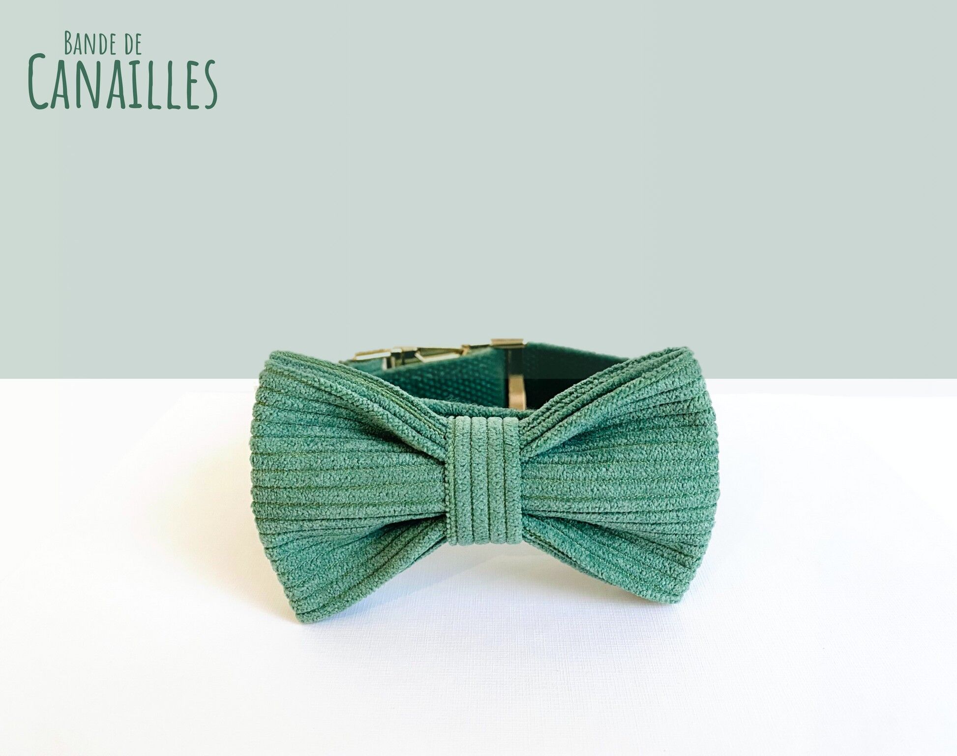 Papillon in velluto a coste verde