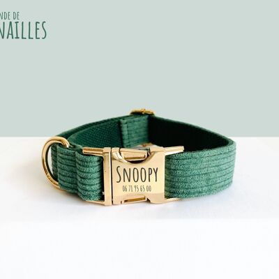 Collier Chien Velours Côtelé Vert