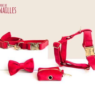 Kit completo per cani Red Velvet