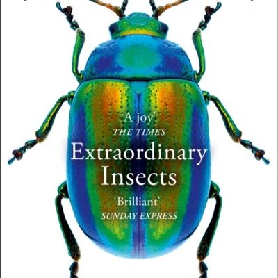 EXTRAORDINARY INSECTS by Anne SverdrupThygeson