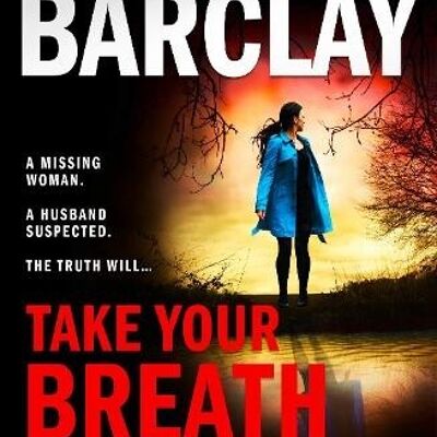 Take Your Breath Away by Linwood Barclay