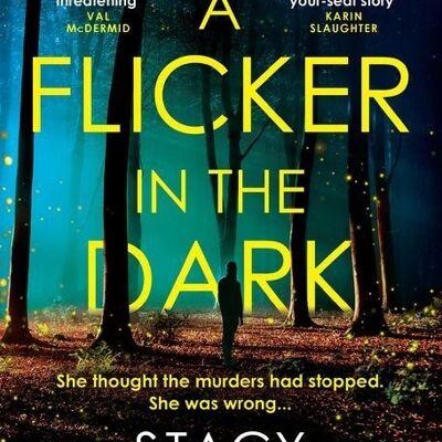 A Flicker in the Dark by Stacy Willingham