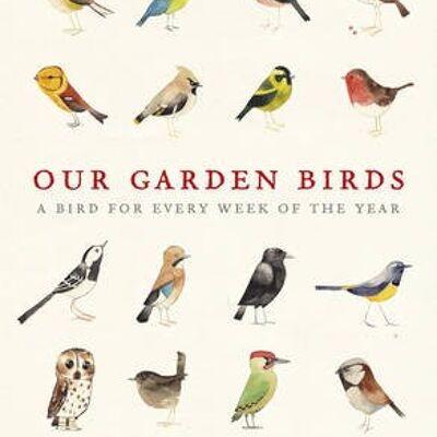 Our Garden Birds by Matt Sewell