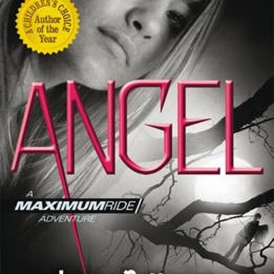 Angel A Maximum Ride Novel by James Patterson