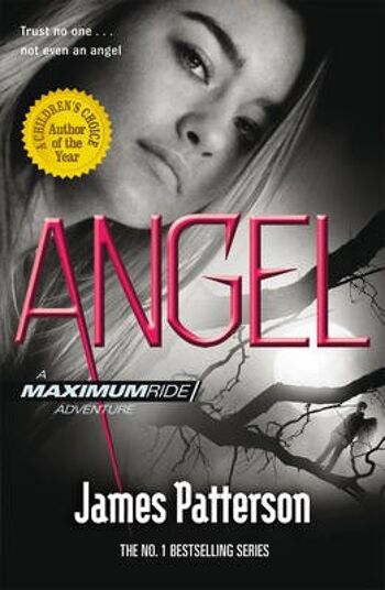 Angel A Maximum Ride Roman de James Patterson