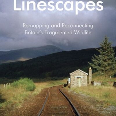 Linescapes by Hugh Warwick