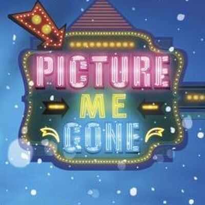 Picture Me Gone by Meg Rosoff