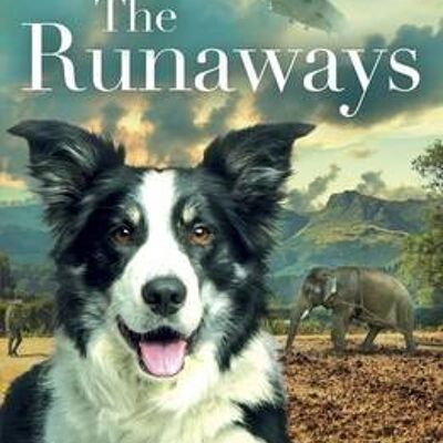 The Runaways by Megan Rix
