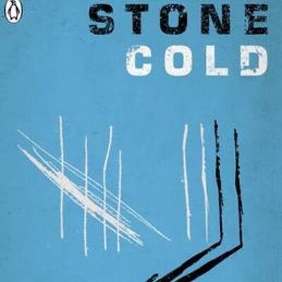 Stone Cold by Robert Swindells