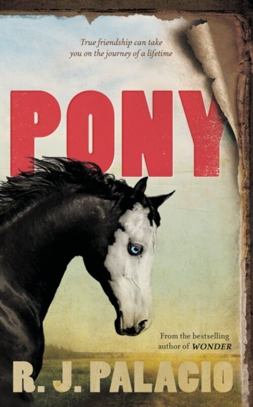 Pony by R. J. Palacio