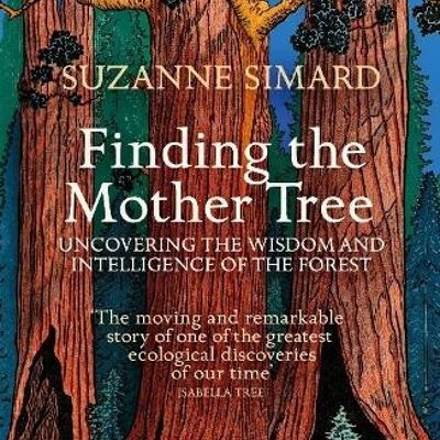 Finding the Mother TreeUncovering the Wisdom and Intelligence of the by Suzanne Simard