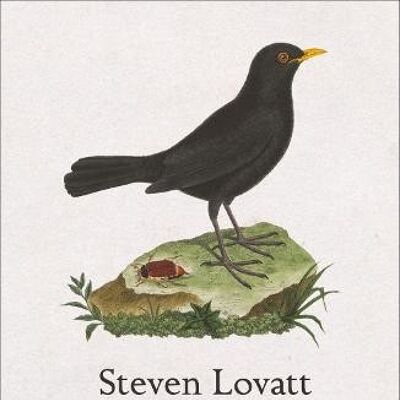 Birdsong in a Time of Silence by Steven Lovatt