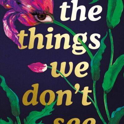 The Things We Dont See by Savannah Brown