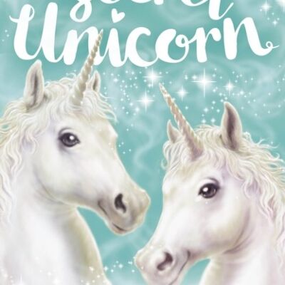 My Secret Unicorn A Special Friend by Linda Chapman