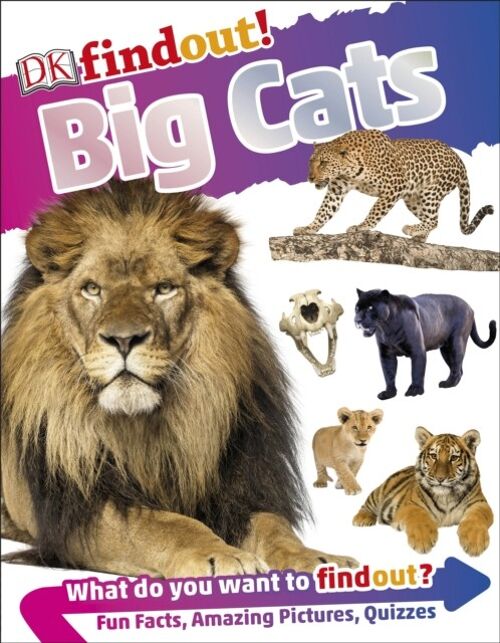 Dkfindout Big Cats by DK