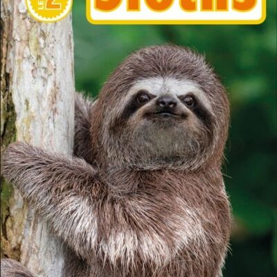 Sloths by Laura Buller
