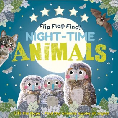 Flip Flap Find Nighttime Animals by DK