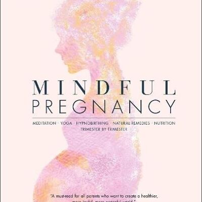 Mindful Pregnancy by Tracy Donegan