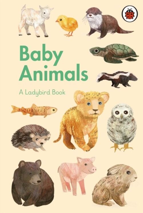 A Ladybird Book Baby Animals by Illustrated by Stephanie Fizer Coleman